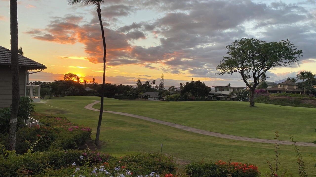 Photo of Others in Wailea