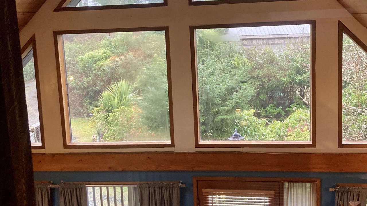 Photo of Others in Tofino
