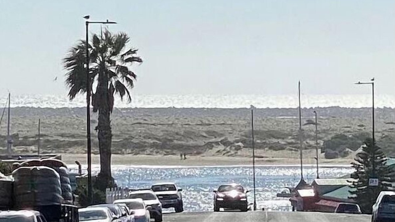 Photo of Others in Morro Bay