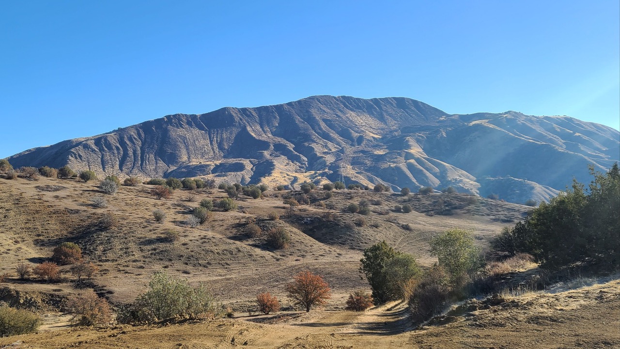 Photo of Outdoor in Coalinga