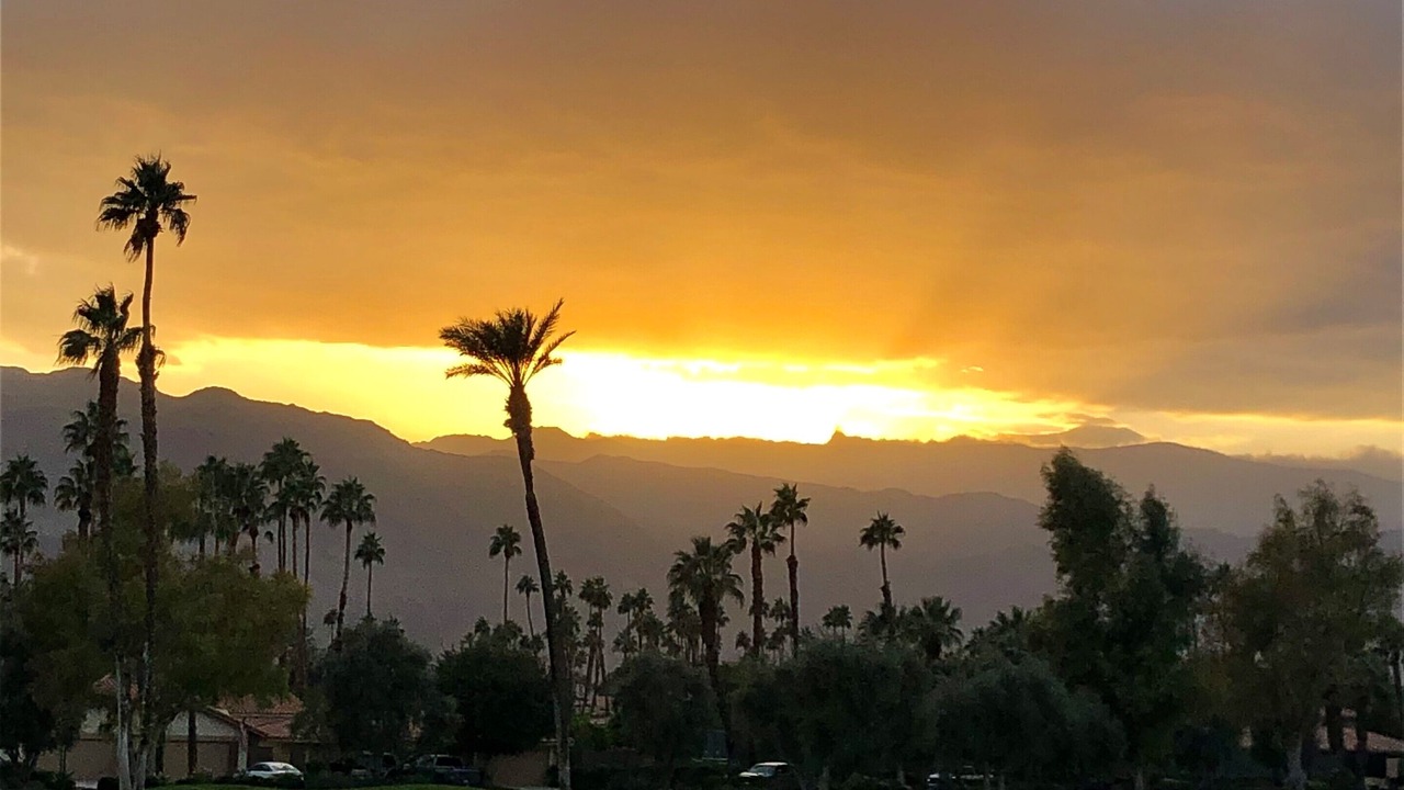 Photo of Others in Palm Desert