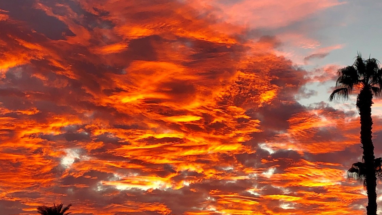 Photo of Others in Palm Desert
