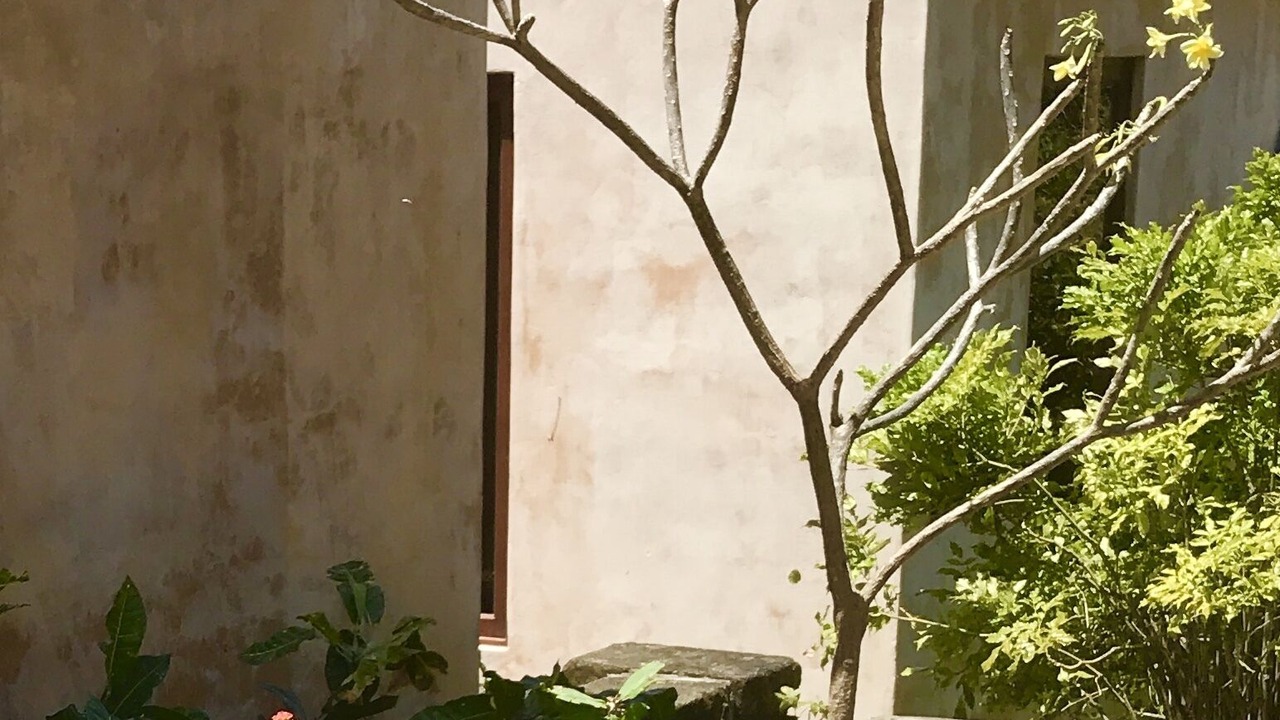 Photo of Outdoor in San Juan del Sur