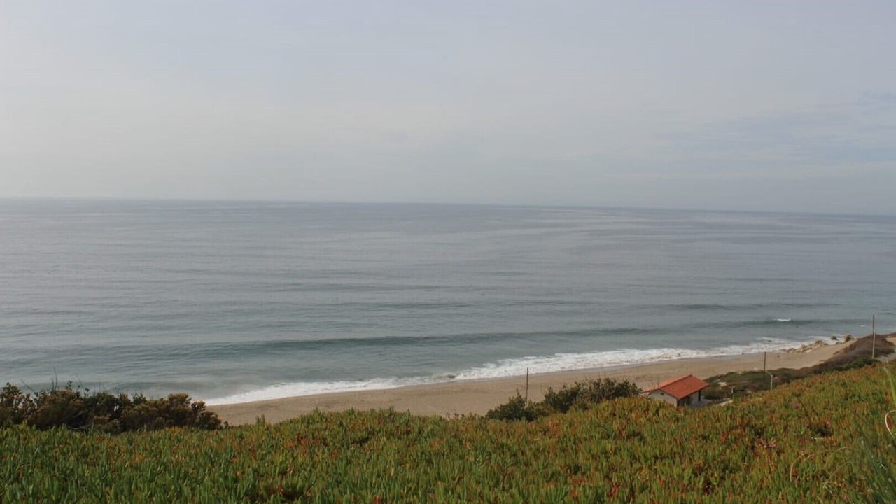 Photo of Others in Central Malibu