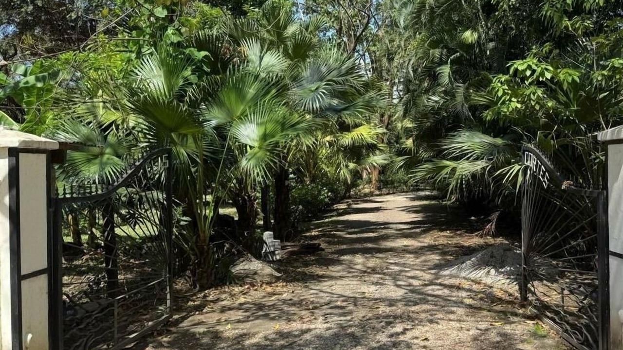 Photo of Outdoor in Nosara