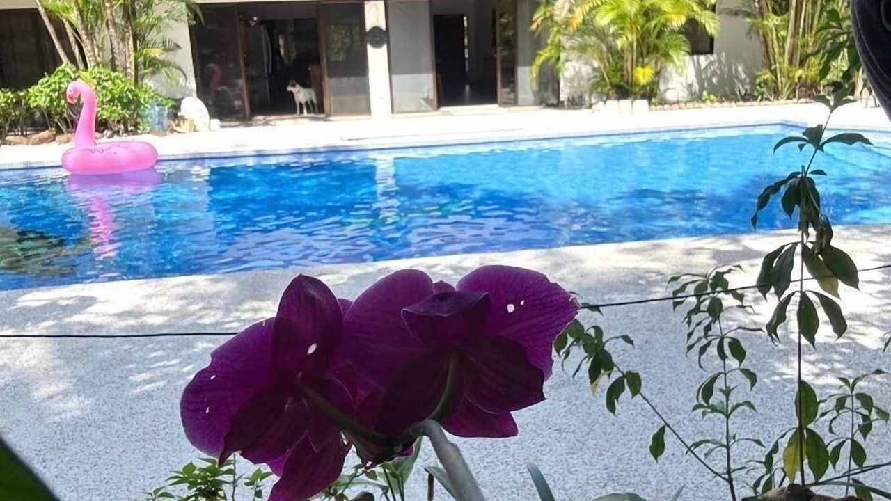 Photo of Outdoor in Nosara