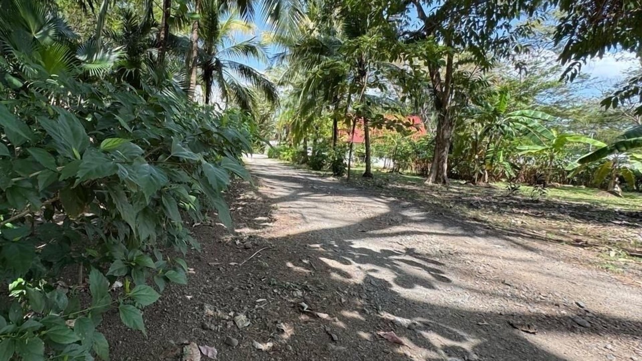 Photo of Outdoor in Nosara