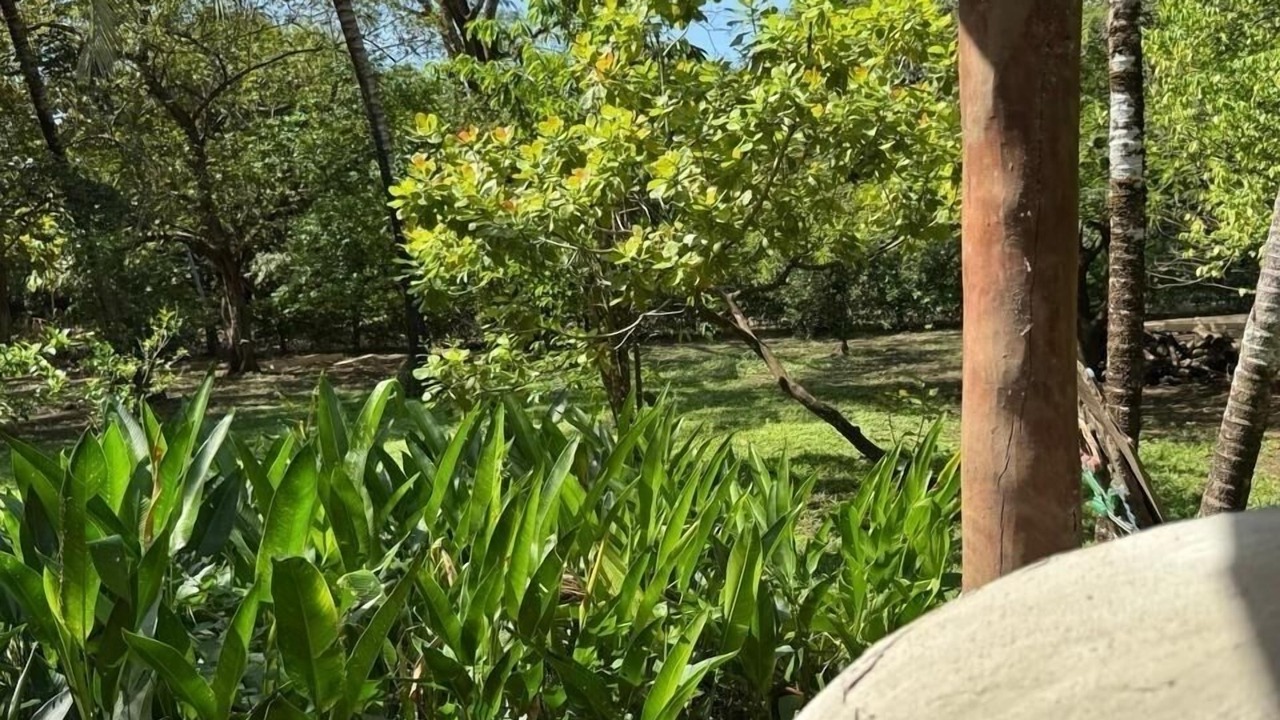Photo of Outdoor in Nosara