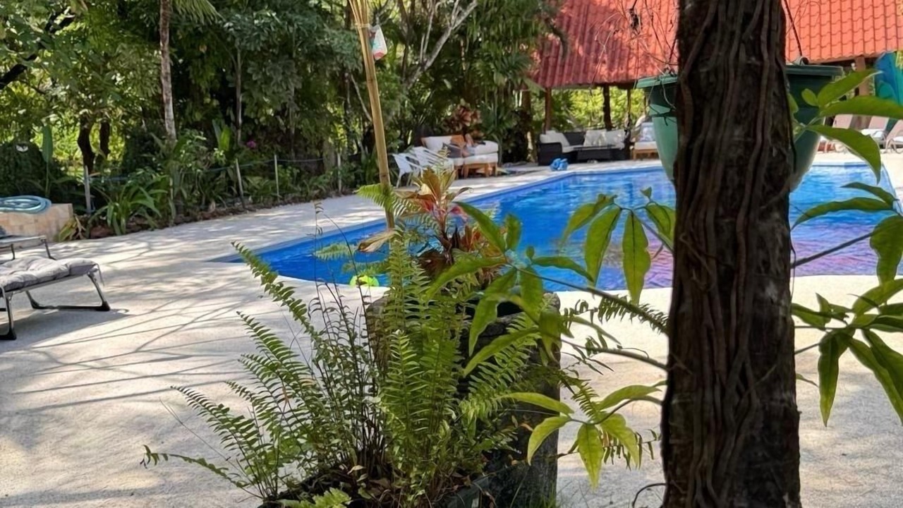 Photo of Outdoor in Nosara