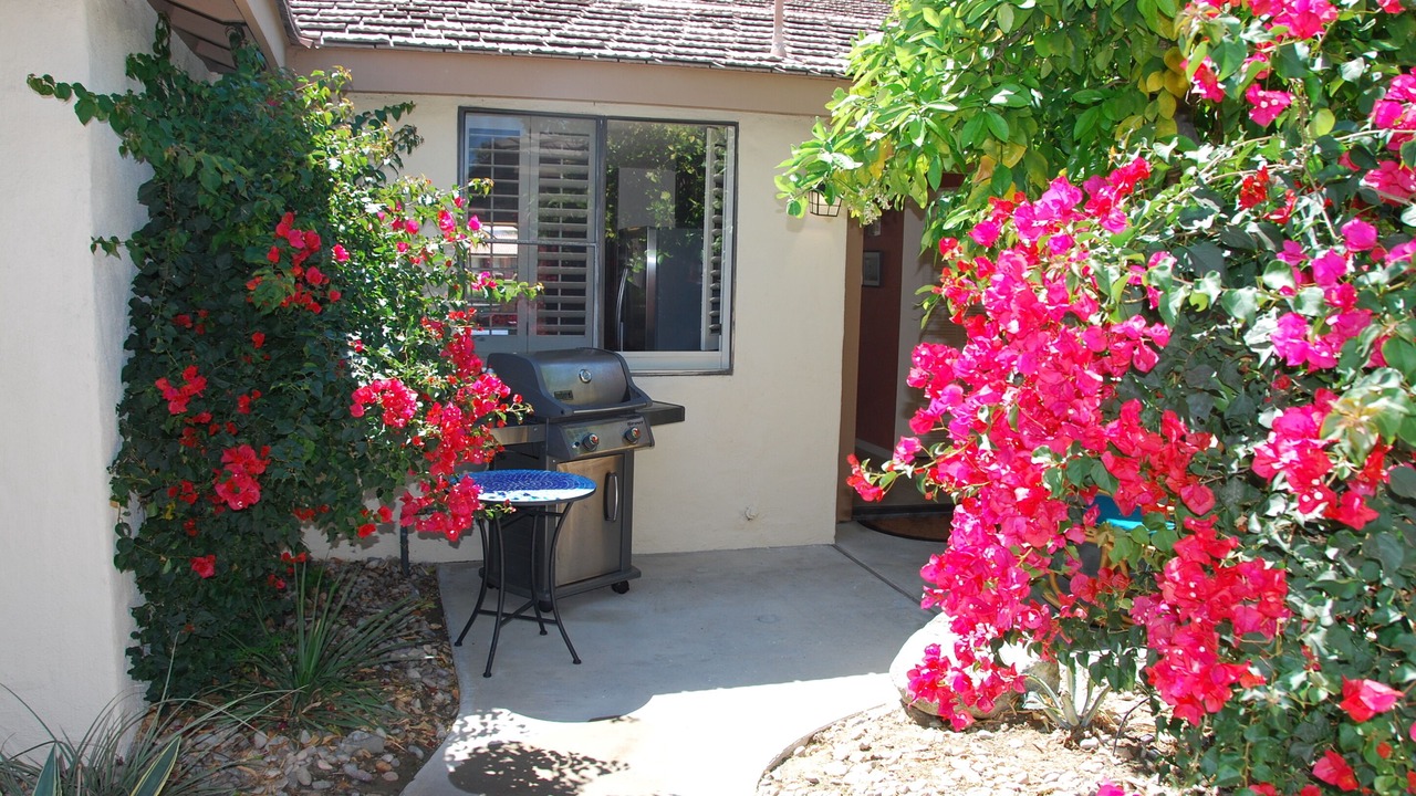 Photo of Outdoor in Palm Desert