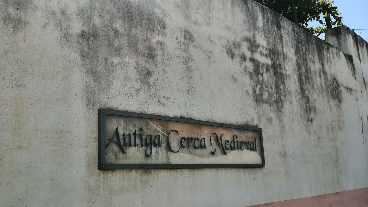 Photo of Outdoor in Vila Nova de Foz Coa