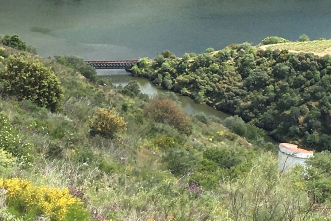 Photo of Others in Vila Nova de Foz Coa
