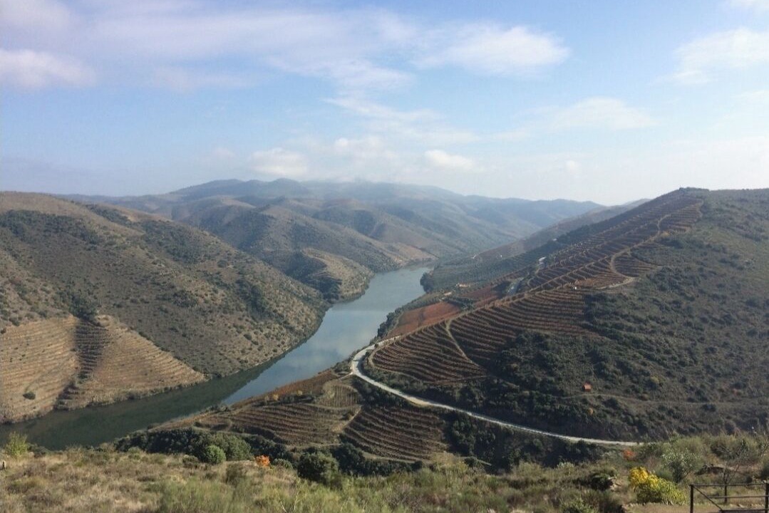 Photo of Outdoor in Vila Nova de Foz Coa