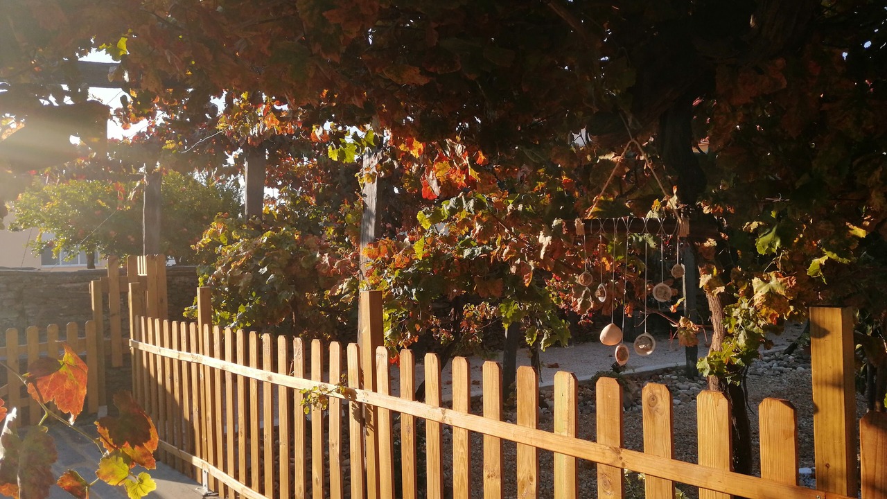 Photo of Outdoor in Vila Nova de Foz Coa