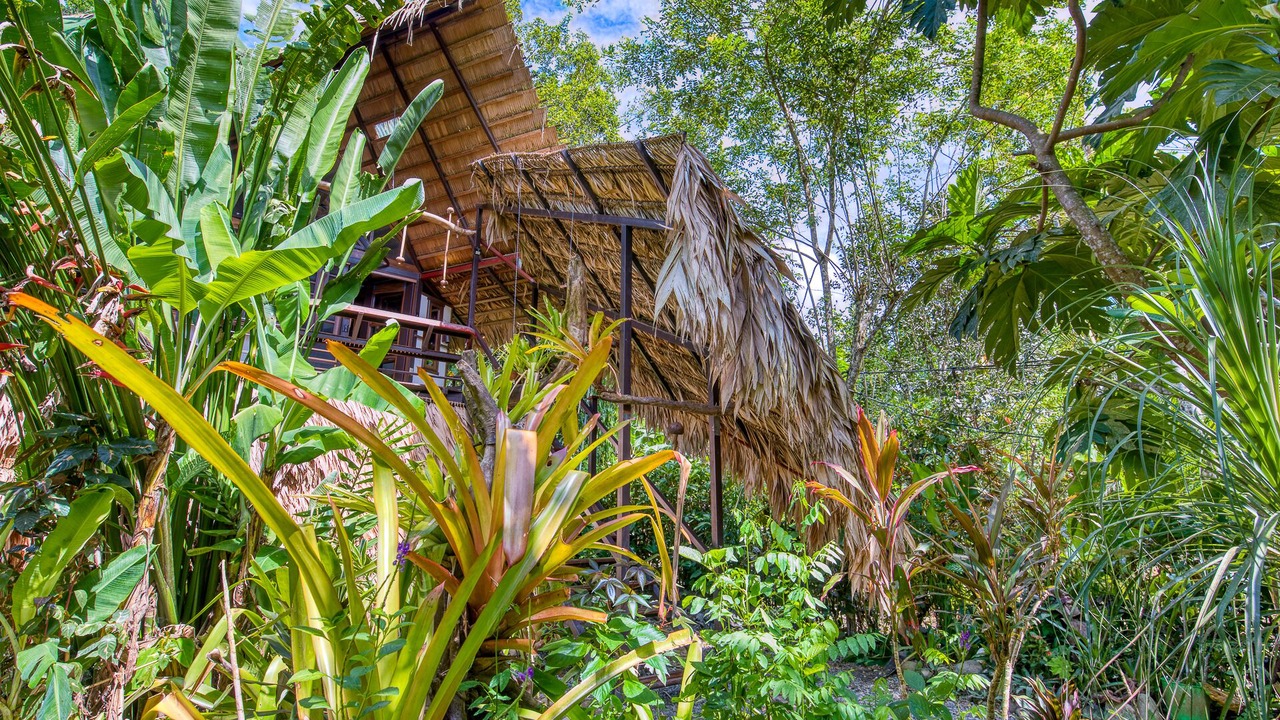 Photo of Outdoor in Puerto Viejo de Talamanca