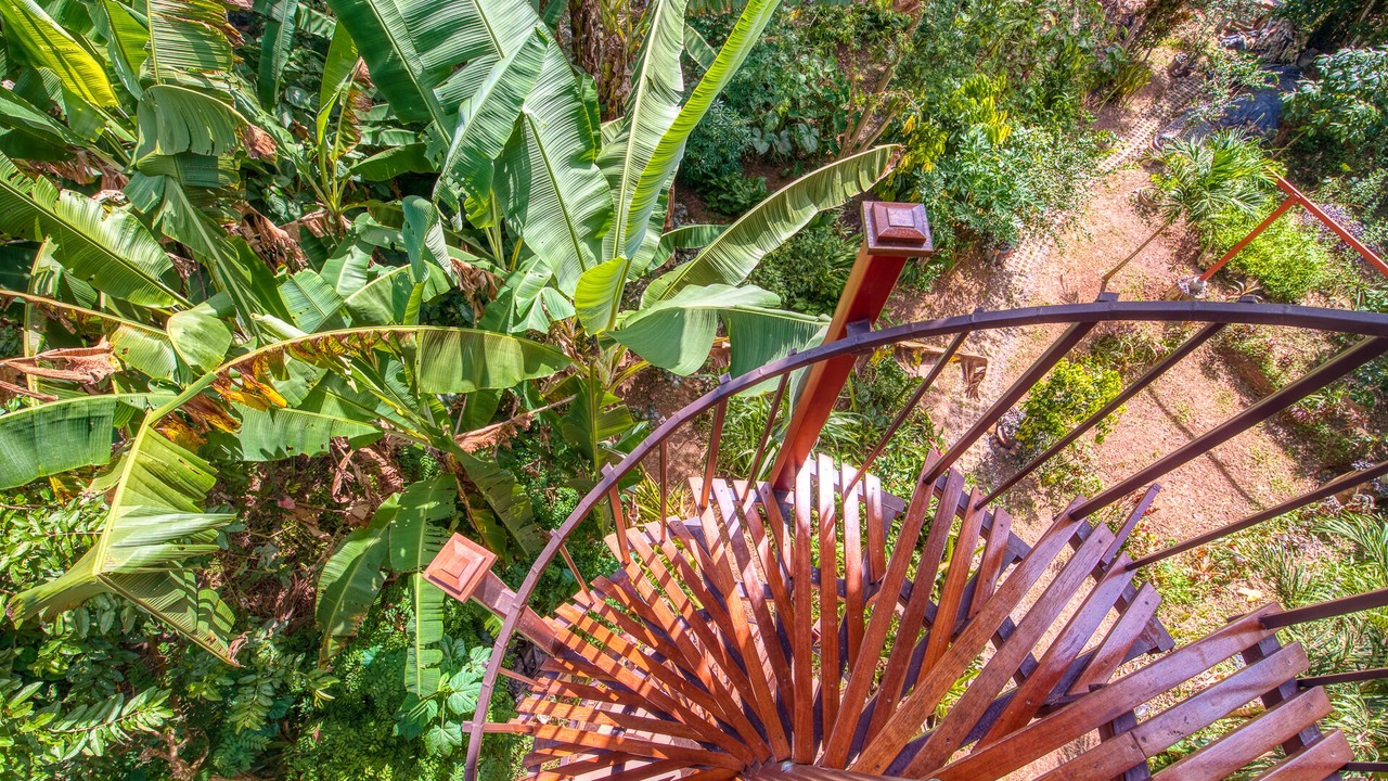 Photo of Outdoor in Puerto Viejo de Talamanca