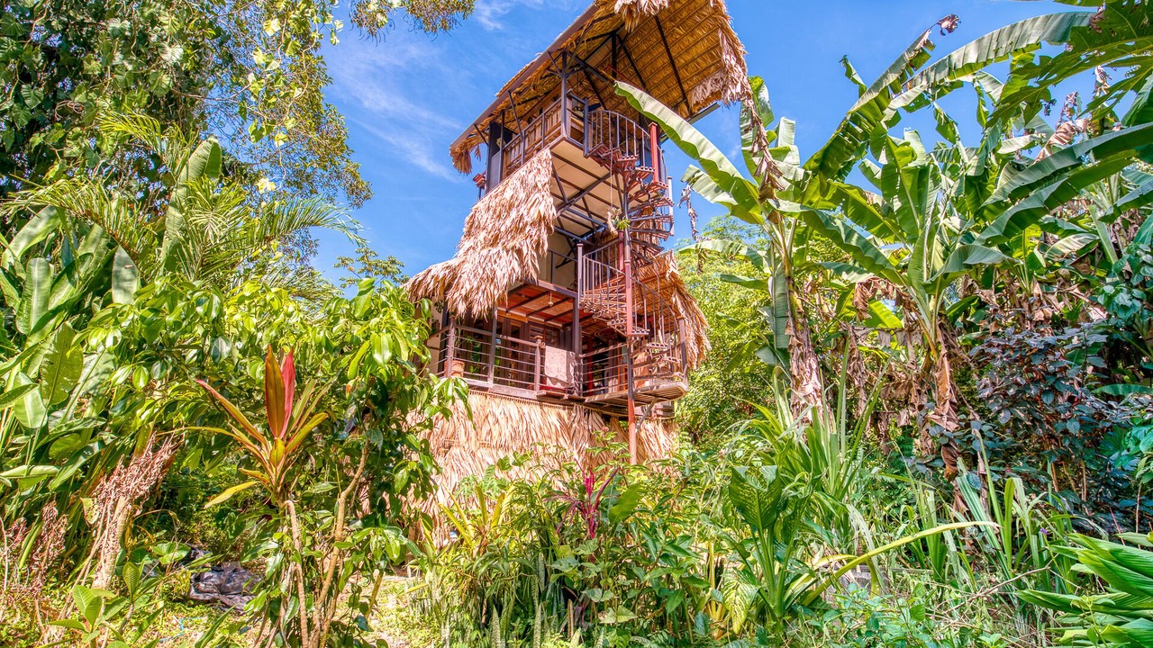 Photo of Outdoor in Puerto Viejo de Talamanca