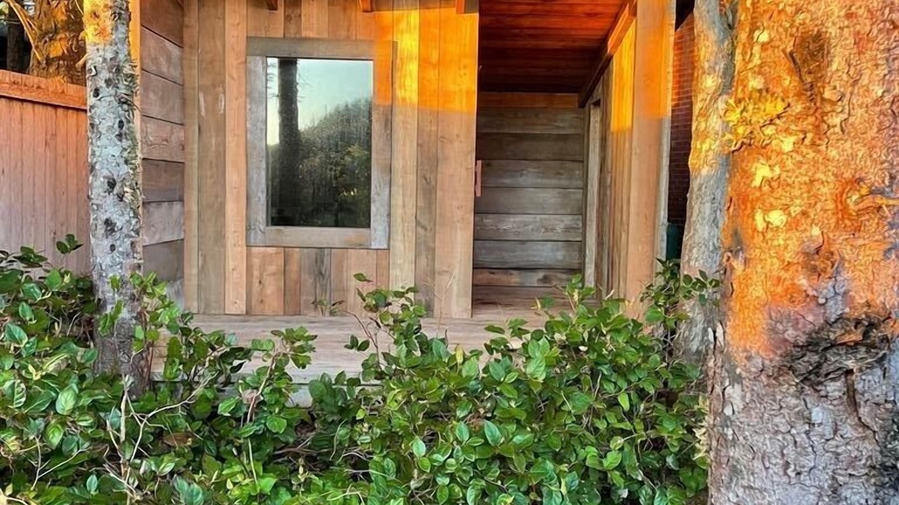 Photo of Outdoor in Tofino
