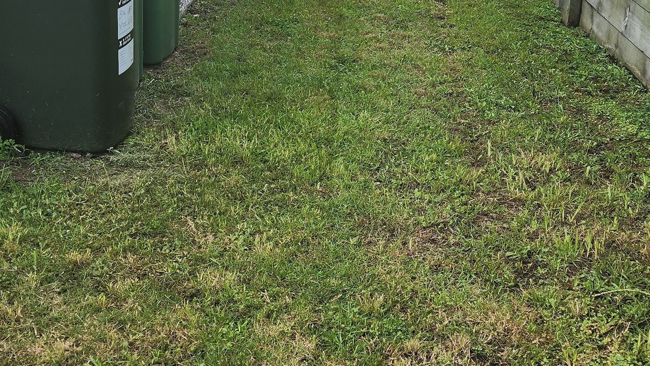 Photo of Outdoor in Upper Coomera