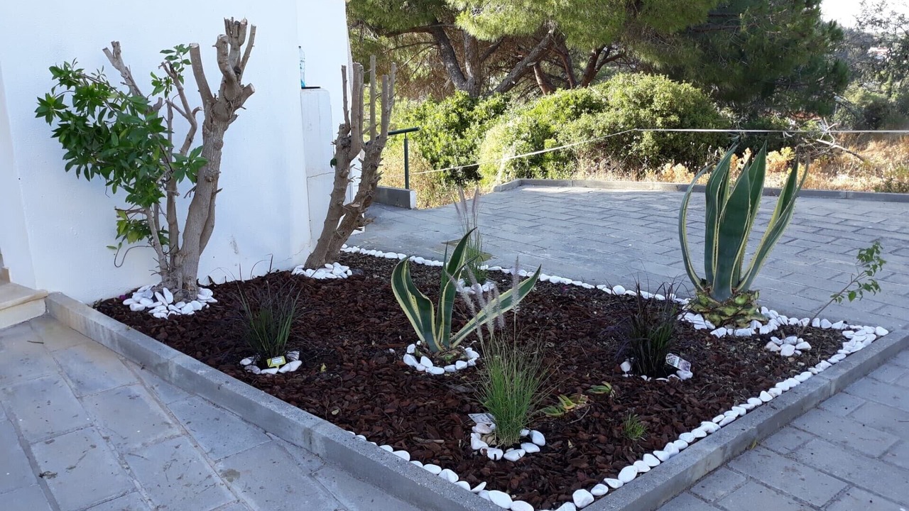 Photo of Outdoor in Mato Serrao