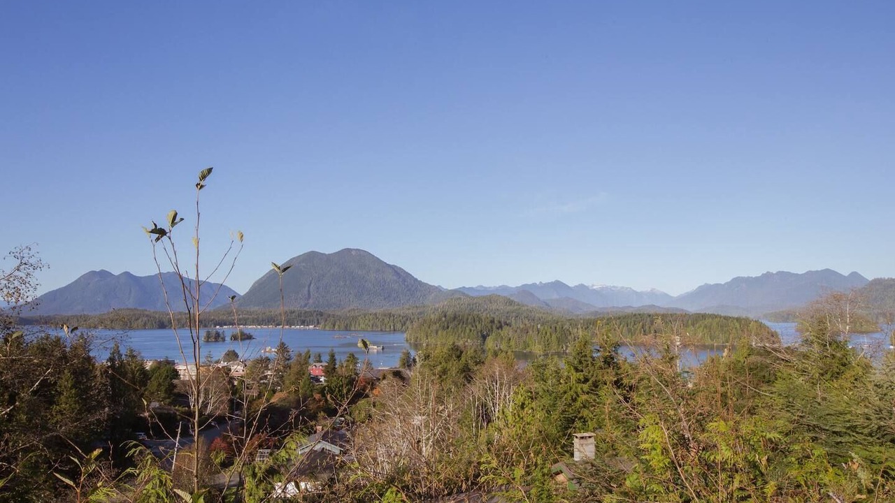 Photo of Others in Tofino