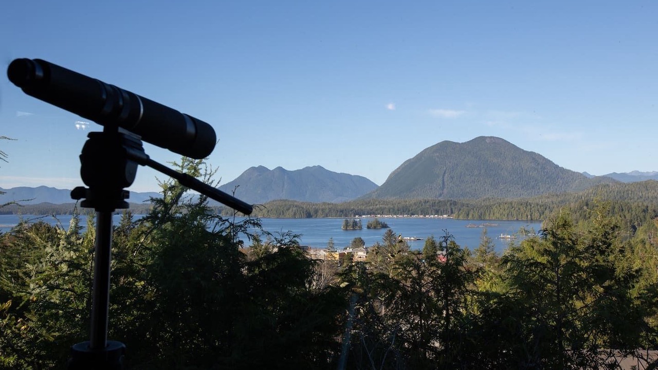 Photo of Others in Tofino