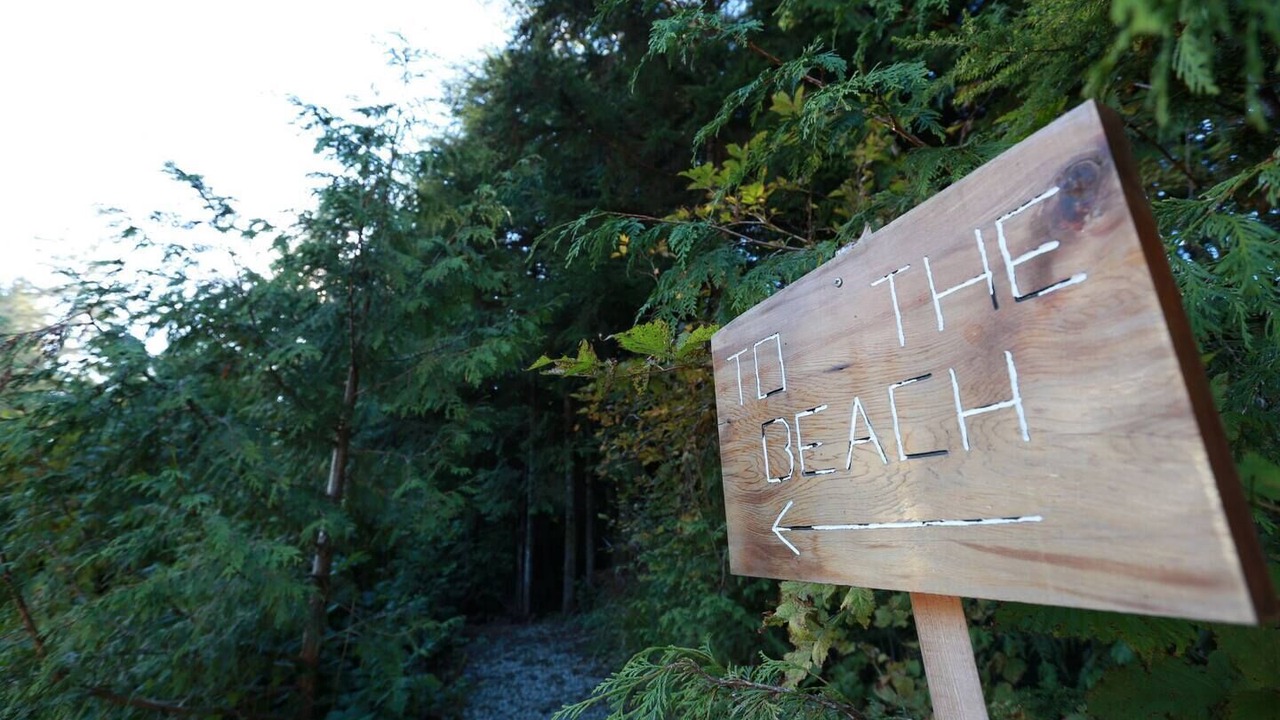 Photo of Others in Tofino