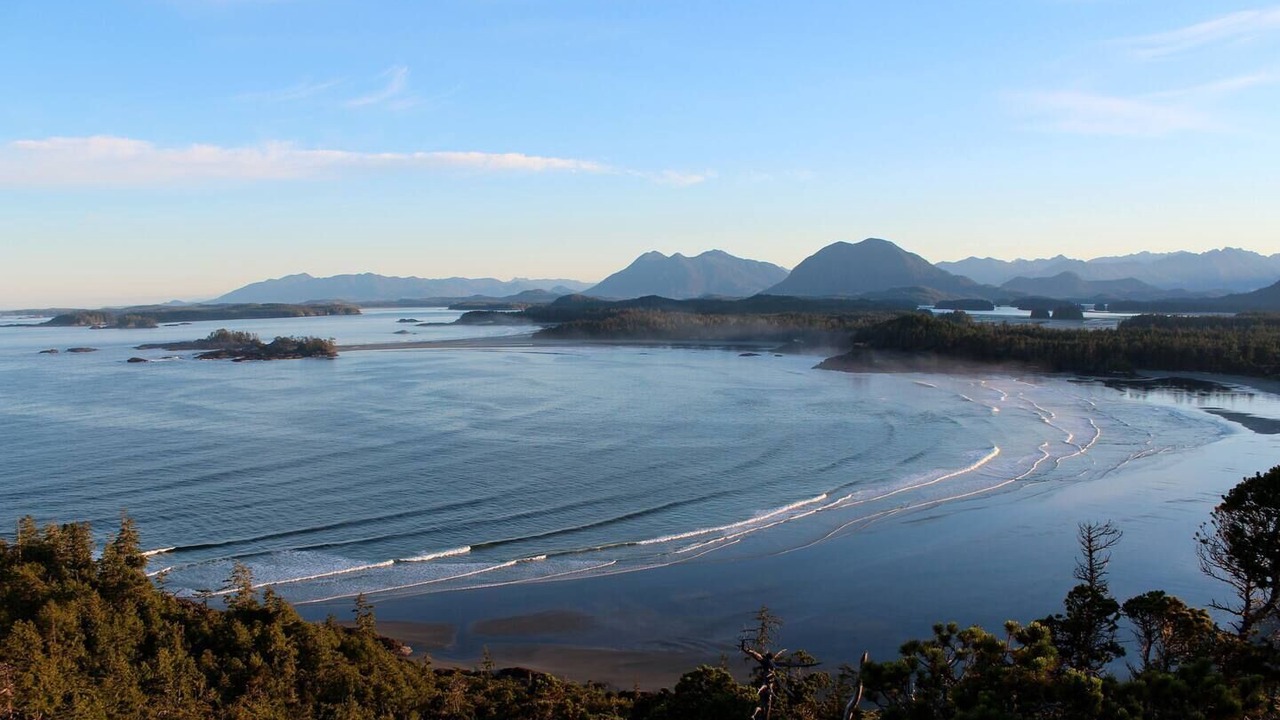 Photo of Others in Tofino