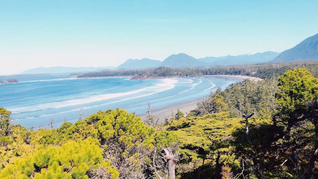 Photo of Others in Tofino