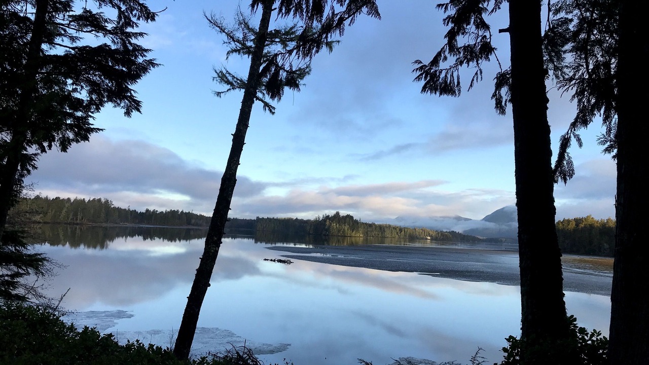 Photo of Others in Tofino