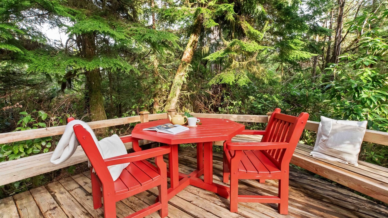 Photo of Outdoor in Tofino