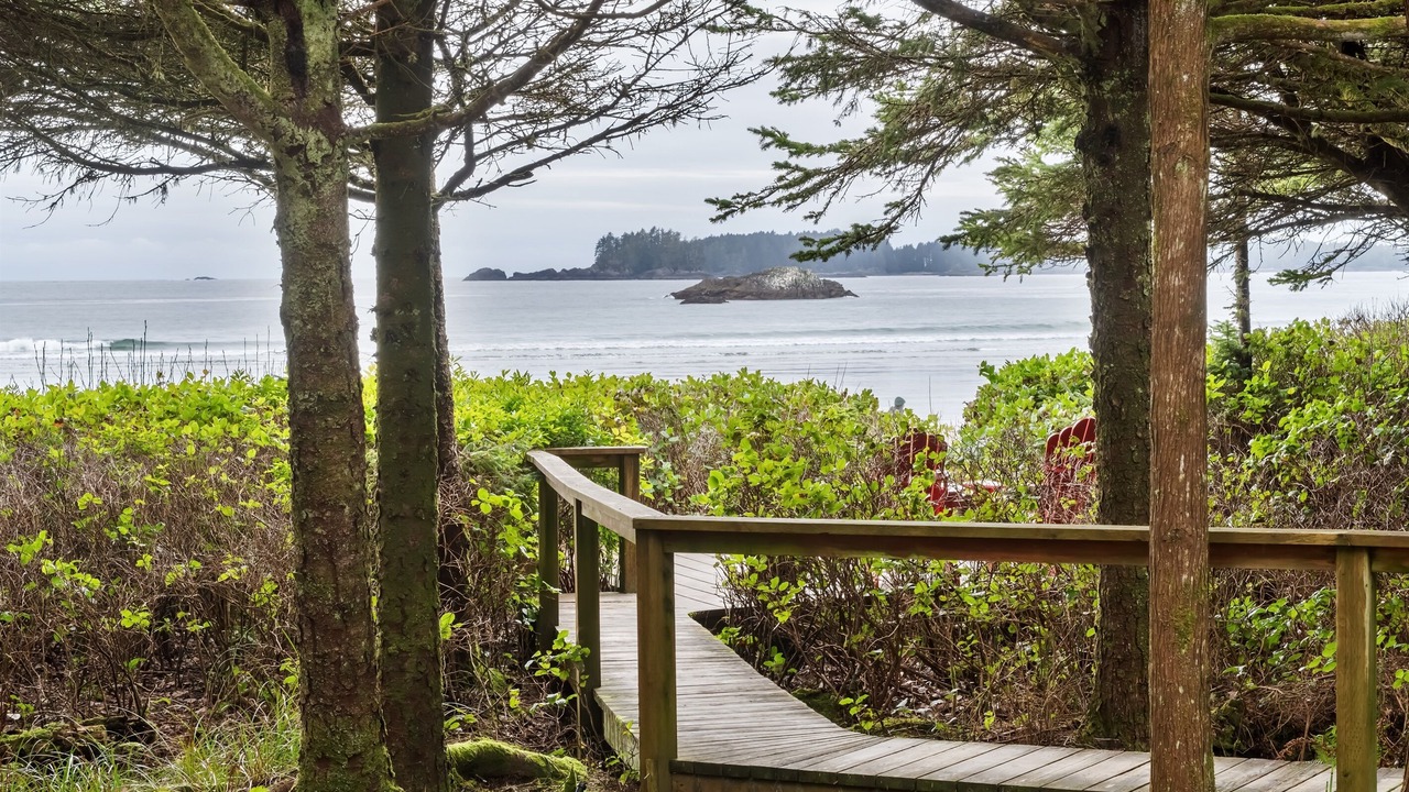 Photo of Others in Tofino