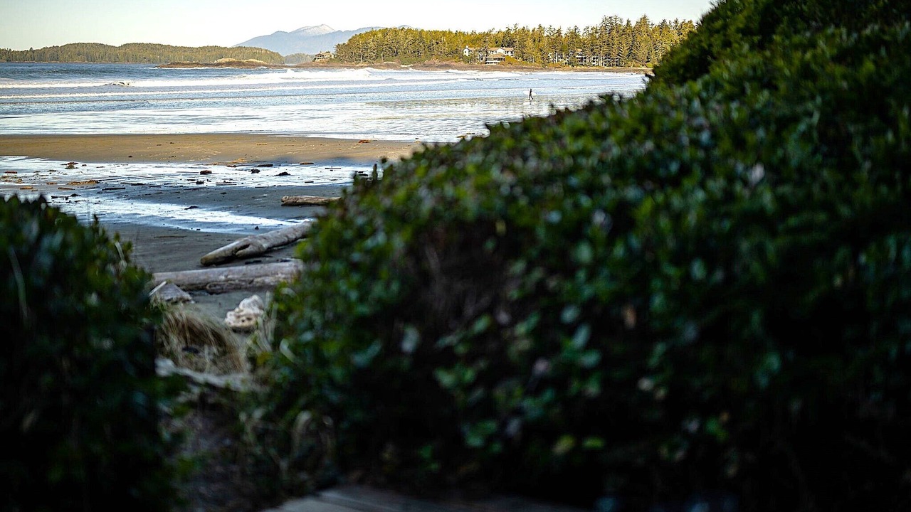 Photo of Others in Tofino