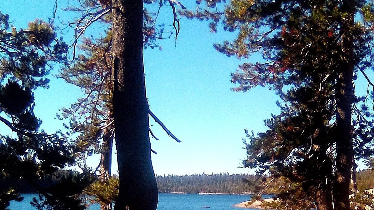 Photo of Outdoor in Bear Valley