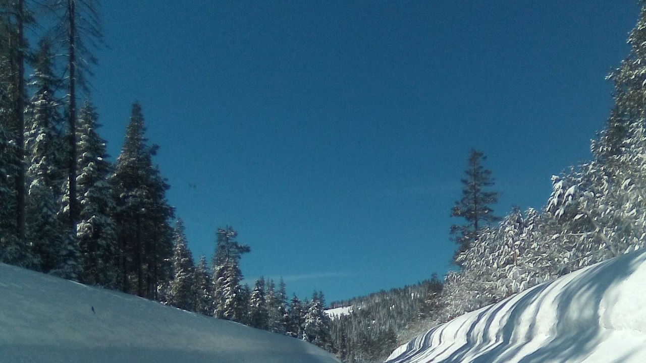 Photo of Others in Bear Valley