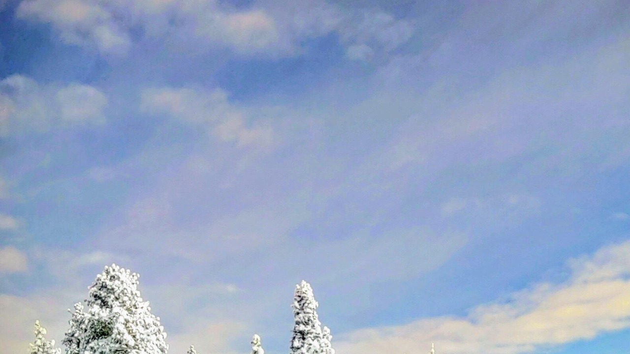 Photo of Others in Bear Valley