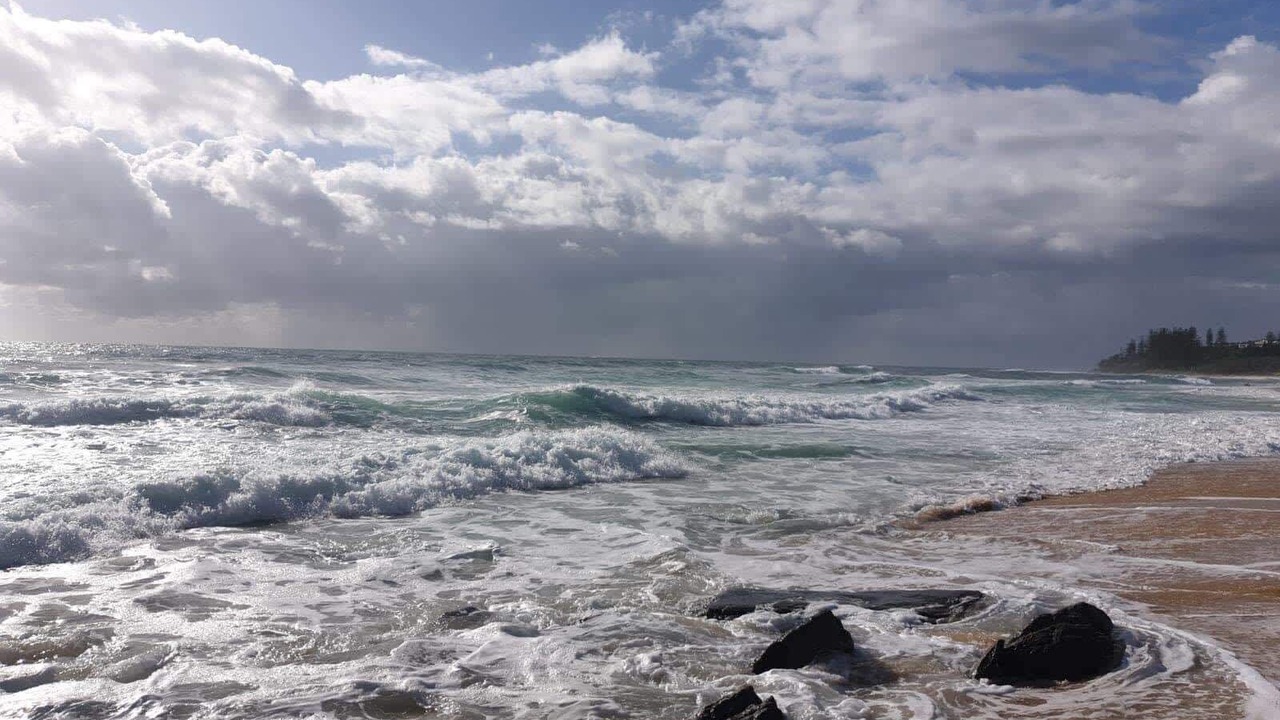 Photo of Others in Shelly Beach