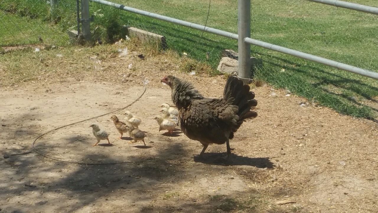 Photo of Outdoor in Blythe