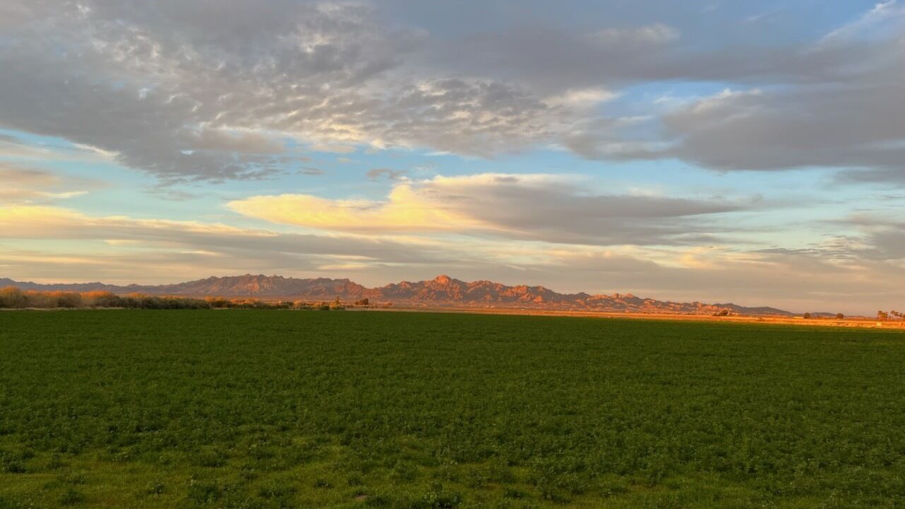 Photo of Outdoor in Blythe
