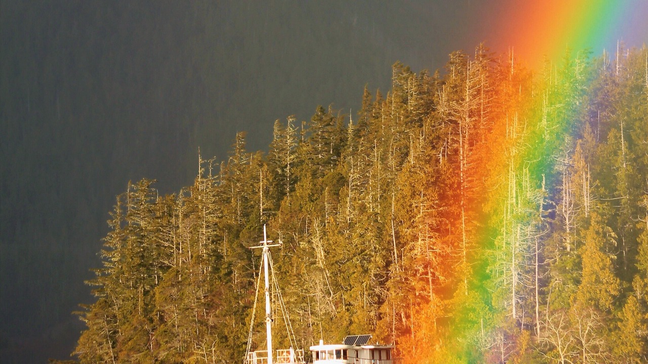 Photo of Others in Ucluelet