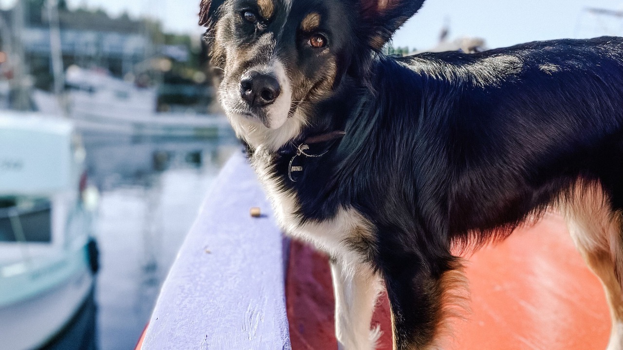 Photo of Others in Ucluelet