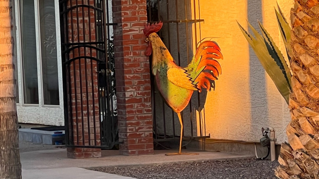 Photo of Outdoor in Wickenburg