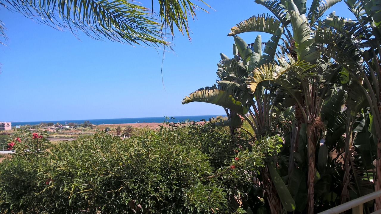 Photo of Others in Albardeira