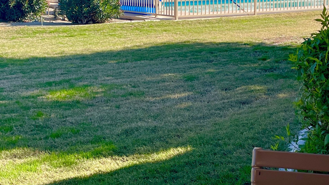 Photo of Outdoor in Palm Desert