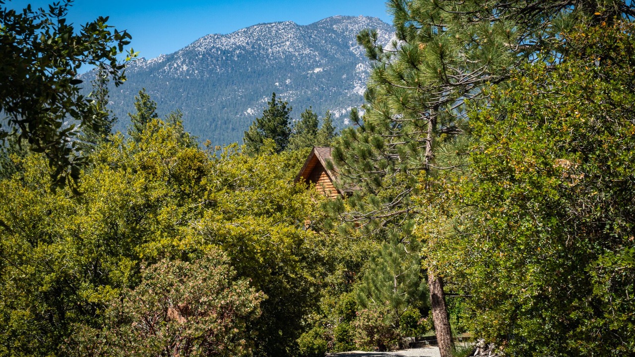 Photo of Others in Idyllwild