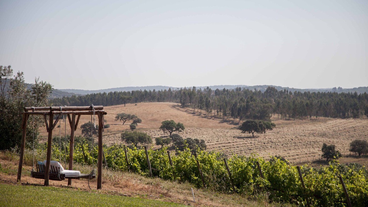 Photo of Outdoor in Montemor-o-Novo