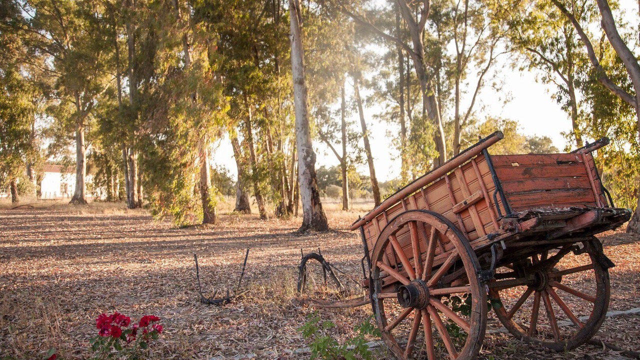 Photo of Outdoor in Montemor-o-Novo