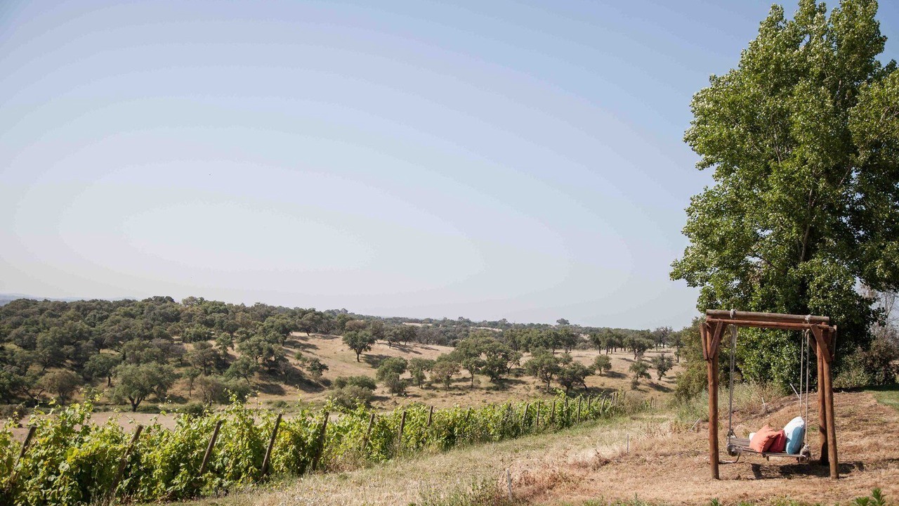Photo of Outdoor in Montemor-o-Novo