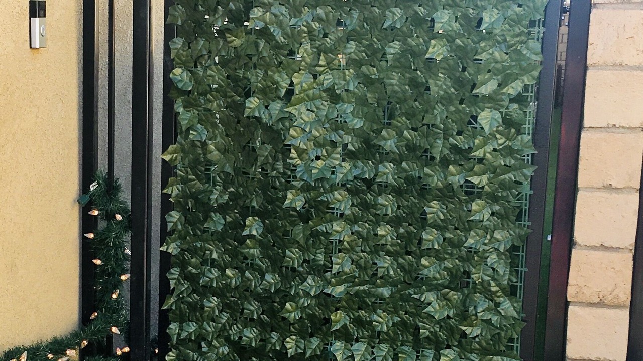 Photo of Outdoor in Palm Springs