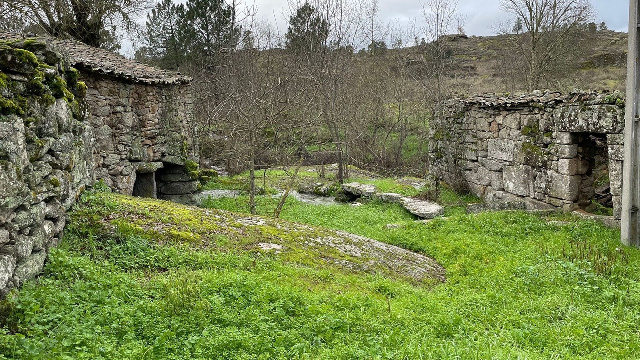 Photo of Outdoor in Guarda District